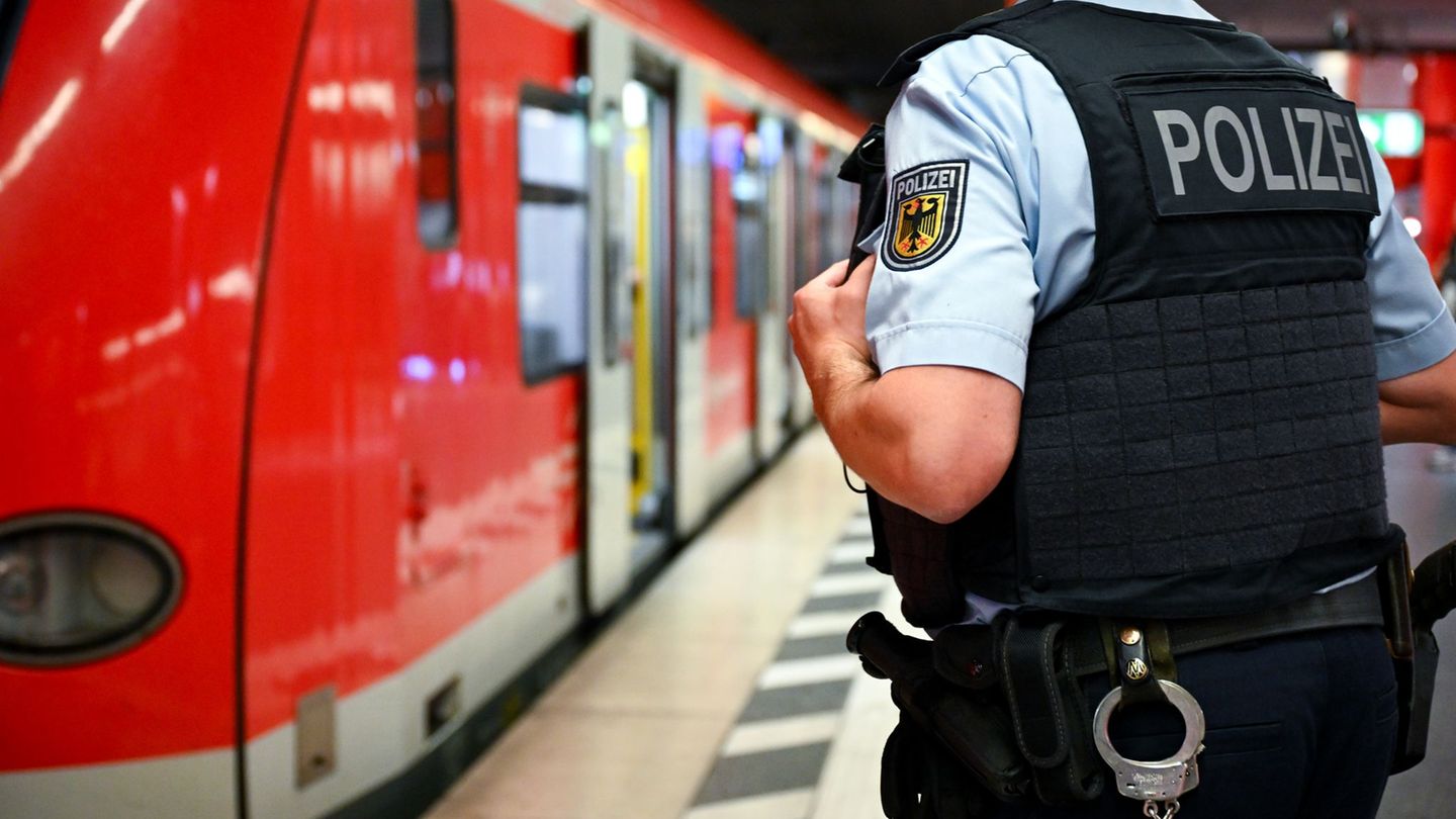 Beide Male wurden die Angreifer an die Bundespolizei übergeben. (Symbolbild) Foto: Sven Hoppe/dpa