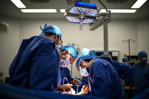 Organtransplantation