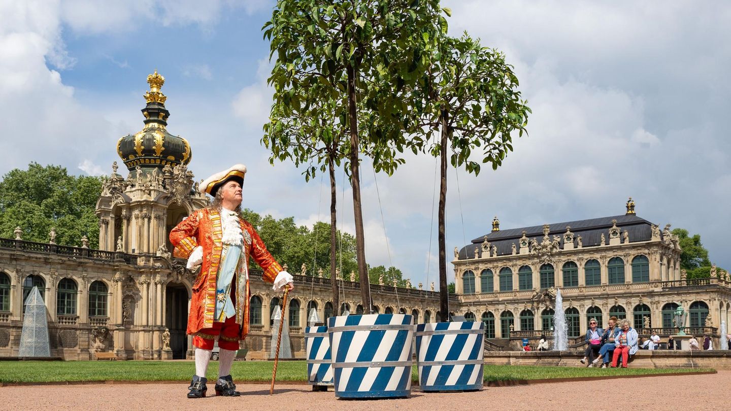 Dresden, Deutschland. Schauspieler Stephan Reher alias August der Starke steht bei einem Pressetermin zur Rückkehr der Orangenbäumchen in den Dresdner Zwinger neben den Pflanzen. Durch Sanierungsarbeiten stehen die Bäume erstmals wieder seit fünf Jahren im Innenhof. Im Laufe der Woche werden 52 der inzwischen etwa 3,5 Meter hohen italienischen Bitterorangenbäumchen in den Zwingerhof gebracht.