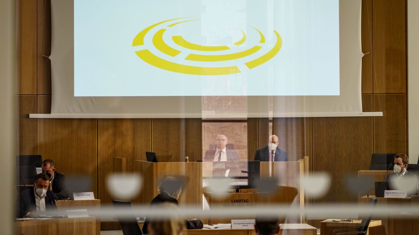 14 Fachausschüsse wird es im neuen rheinland-pfälzischen Landtag geben. (Archivfoto) Foto: Frank Rumpenhorst/dpa