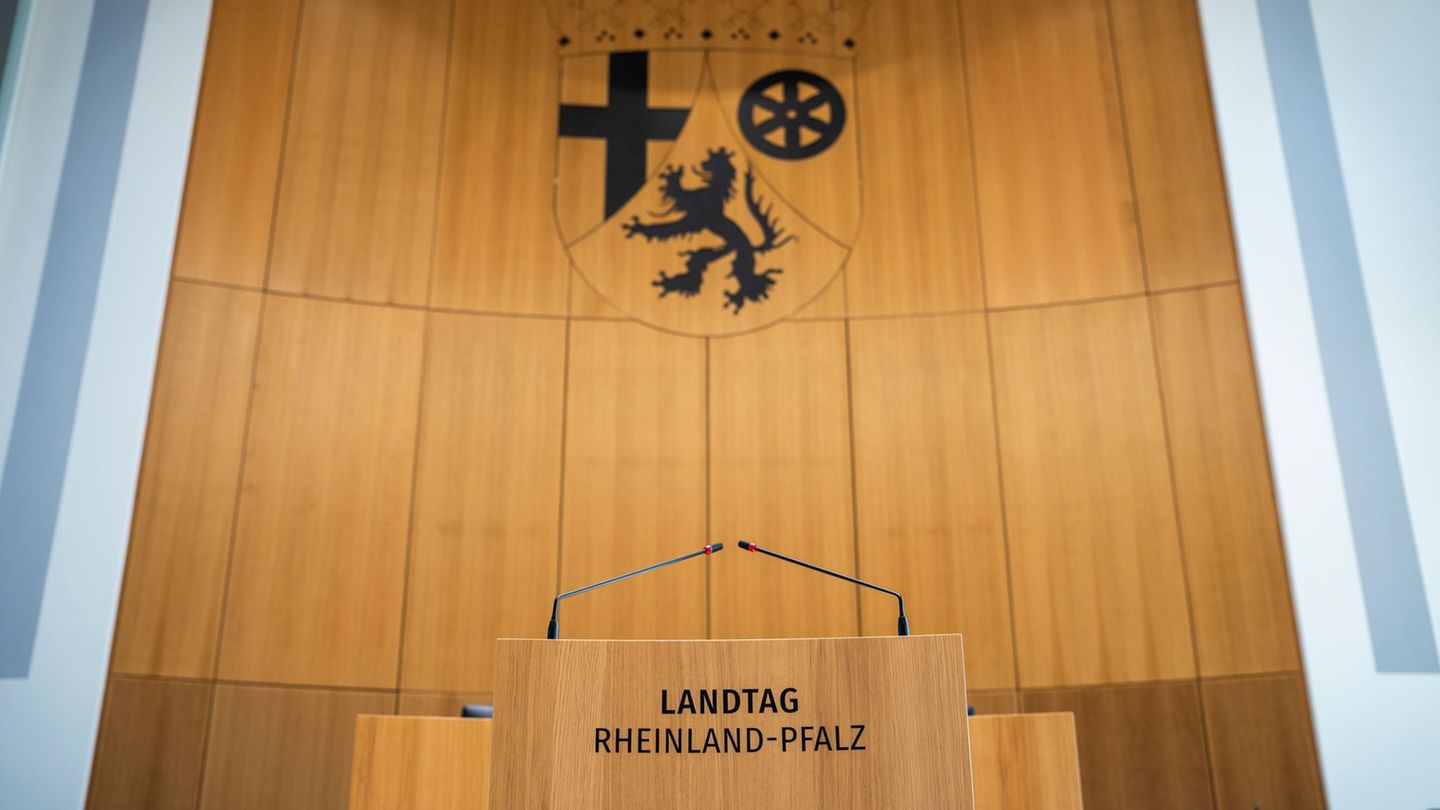 Parlamentsgremium: Das machen Fachausschüsse im Landtag und deren Chefs