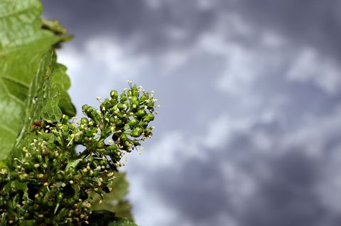 Strahlender Sonnenschein ist heute in Bayern nicht zu erwarten. (Symbolbild) Foto: Karl-Josef Hildenbrand/dpa