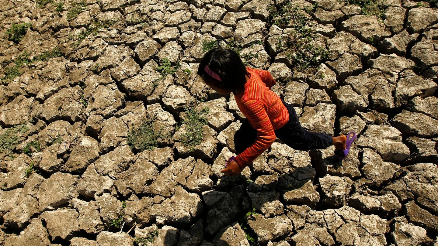 Klimaphänomen kehrt zurück: El Niño steht an – „Öl ins Feuer globaler Erwärmung“