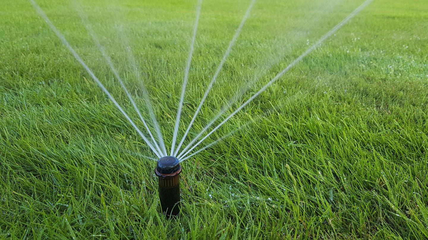 Rasensprengen tut dem Gras gut – Bewässerungsverbote schränken dies aber in Teilen Deutschalnds ein