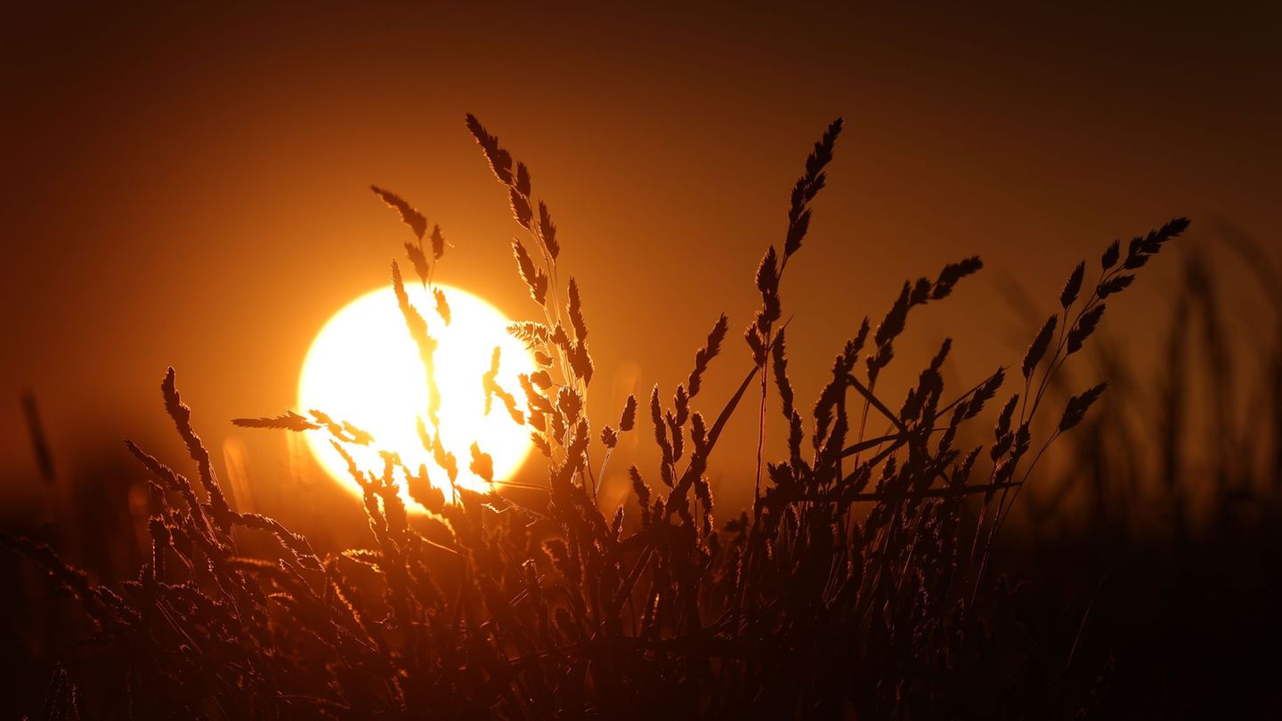Viel Sonne, historisch wenig Regen: Das Wetter im Frühjahr bereitet an einigen Stellen Probleme. (Symbolbild) Foto: Karl-Josef H