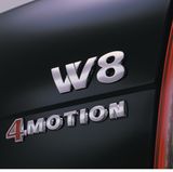 VW Passat W8