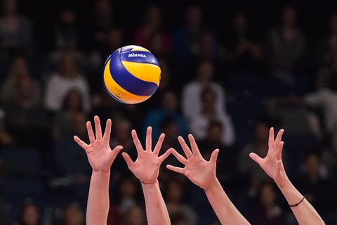 Die ASV Volleys aus Dachau ziehen sich aus der Bundesliga zurück. (Archivbild) Foto: Silas Stein/dpa