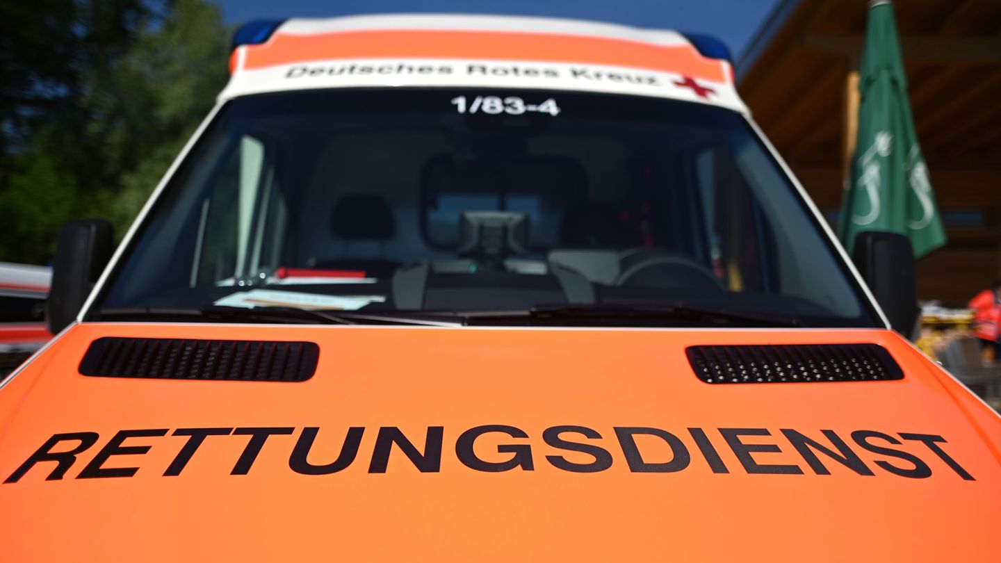 Das Paddle-Board kollidierte mit einem Baum. (Symbolbild) Foto: Patrick Seeger/dpa
