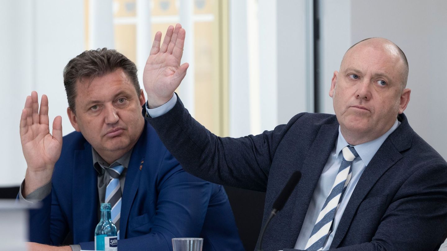 Im Kulturausschuss schlug die AfD-Fraktion Breininger (links) als Vorsitzenden vor und fand keine Mehrheit. Nur er selbst und Fr