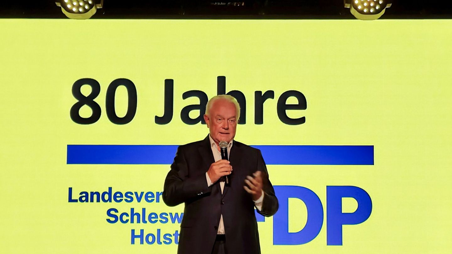 „Es ist jetzt nicht das Ende, sondern der Anfang“, sagte Wolfgang Kubicki in Kiel. Foto: Felix Müschen/dpa