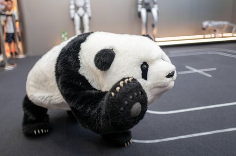 Ein Roboterhund in einem Panda-Kostüm