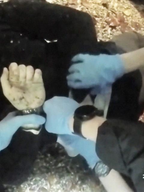 Bodycam-Video zeigt Festnahme von Henry Nowak