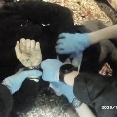Bodycam-Video zeigt Festnahme von Henry Nowak