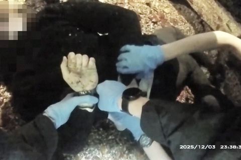 Bodycam-Video zeigt Festnahme von Henry Nowak