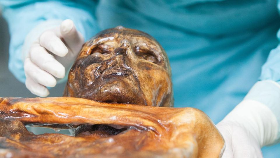 Forscher entschlüsseln Ötzis Mikrobiom