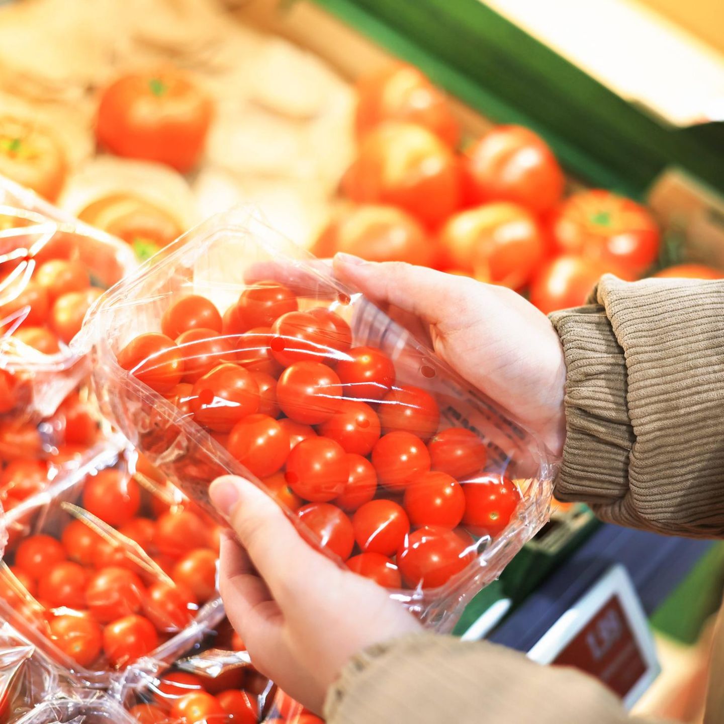 Tomaten sind lecker und gesund – wenn sie nicht mit Schadstoffen belastet sind