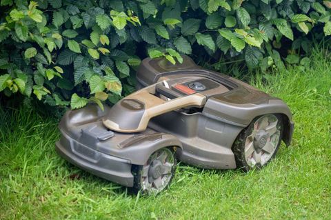 Mähroboter können vor allem abends und nachts Igel schwer und sogar tödlich verletzen. (Symbolbild) Foto: Monika Skolimowska/dpa
