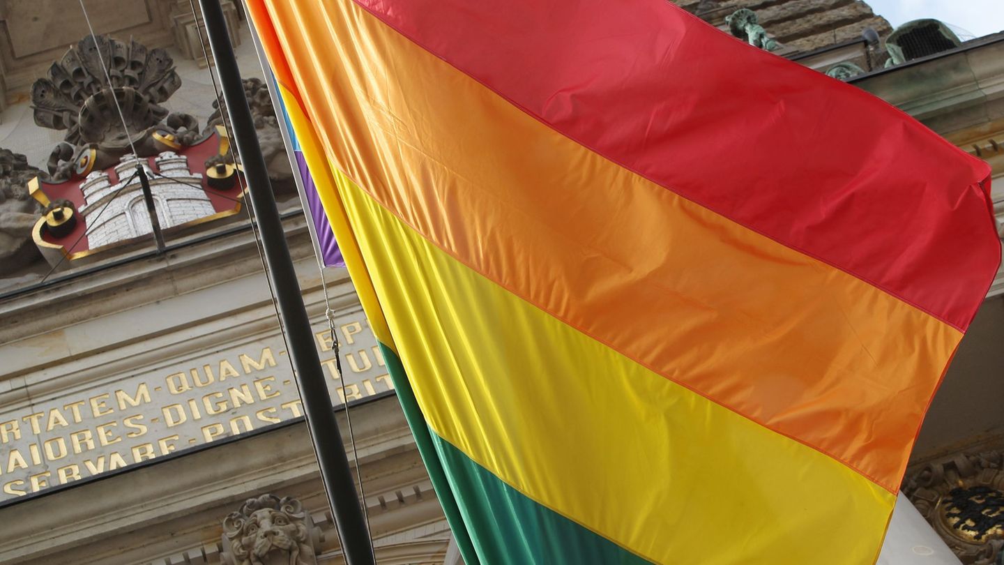 Am Rathaus - wie hier in Hamburg - wird in Aschaffenburg keine Regenbogenflagge gehisst. (Symbolbild) Foto: picture alliance / d