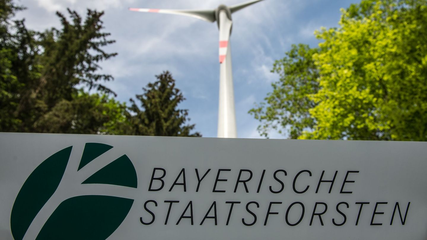 Energie: Vier neue Windparks in den Staatsforsten geplant