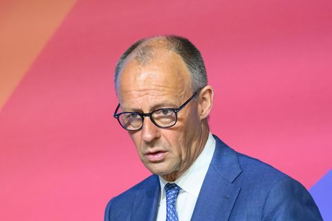 Porträt Friedrich Merz