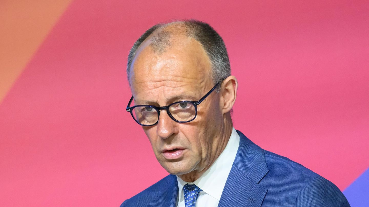 Porträt Friedrich Merz