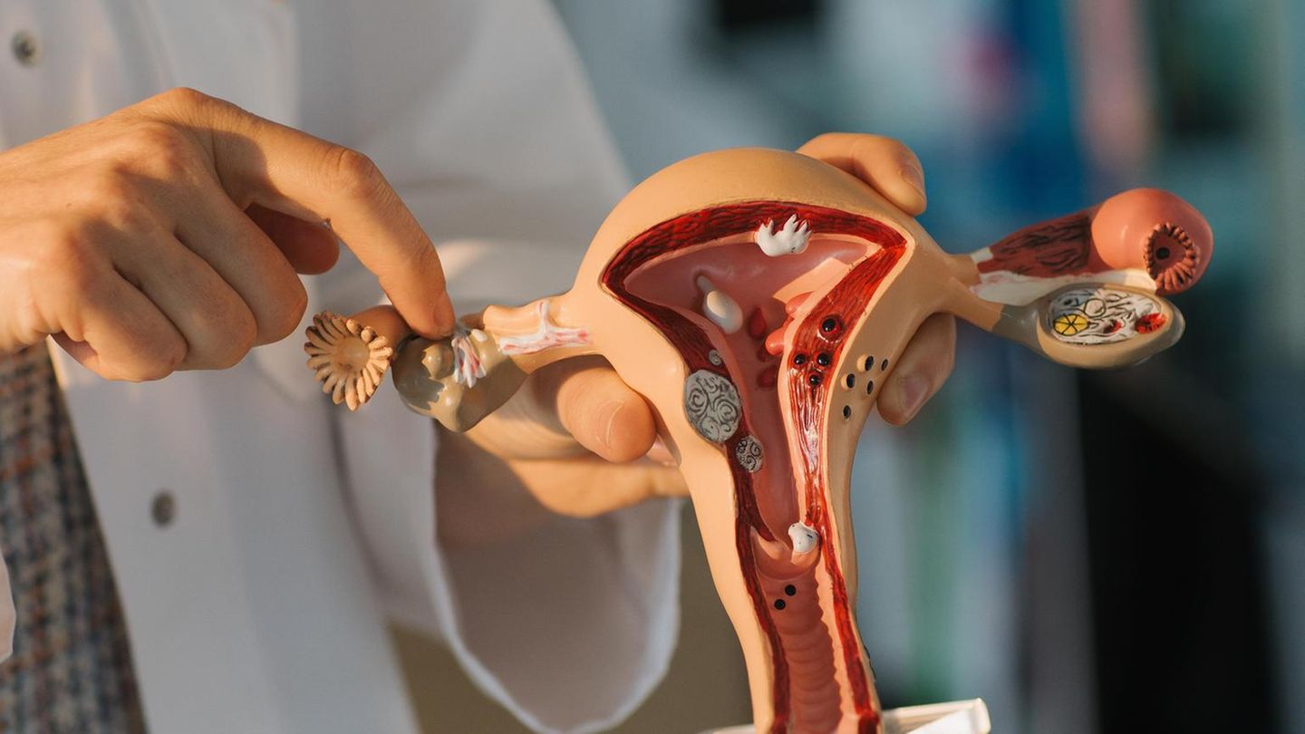 Frauenmedizin: „Ich konnte all diesen Frauen helfen, sich als Frau zu fühlen“