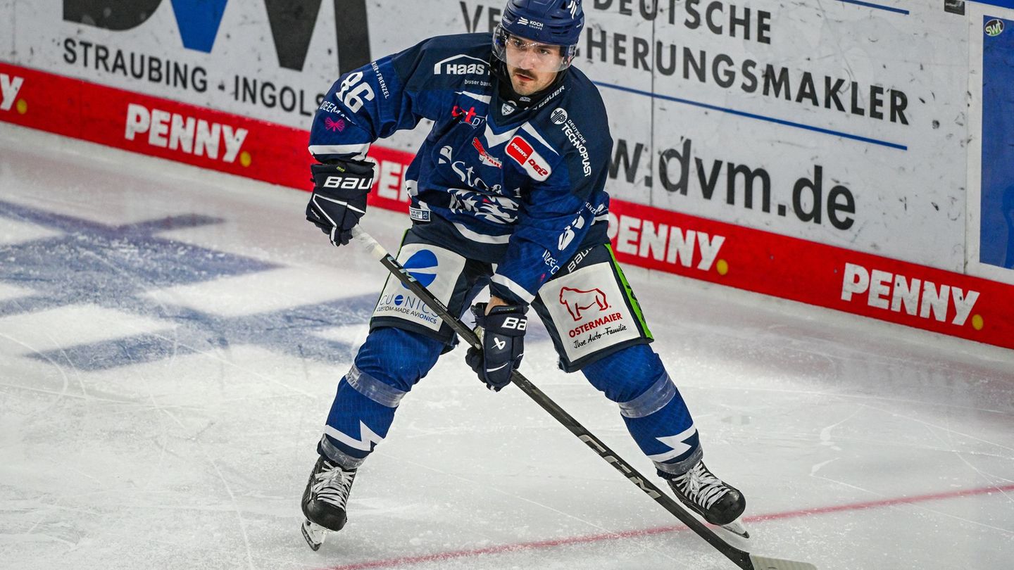 Deutsche Eishockey Liga: Straubing Tigers verlängern Verträge mit zwei Stürmern