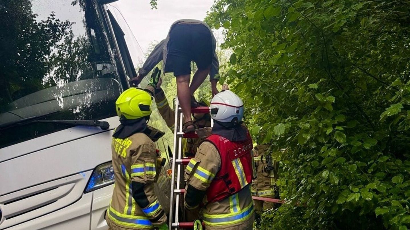 Missliche Lage: Bus bleibt in Wald stecken – Kinder müssen mit Taxis fahren