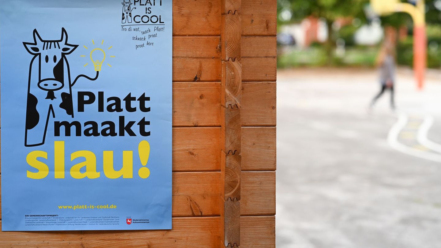 „Plattdeutsch macht schlau“ steht übersetzt auf diesem Plakat. (Archivbild) Foto: Lars Penning/dpa