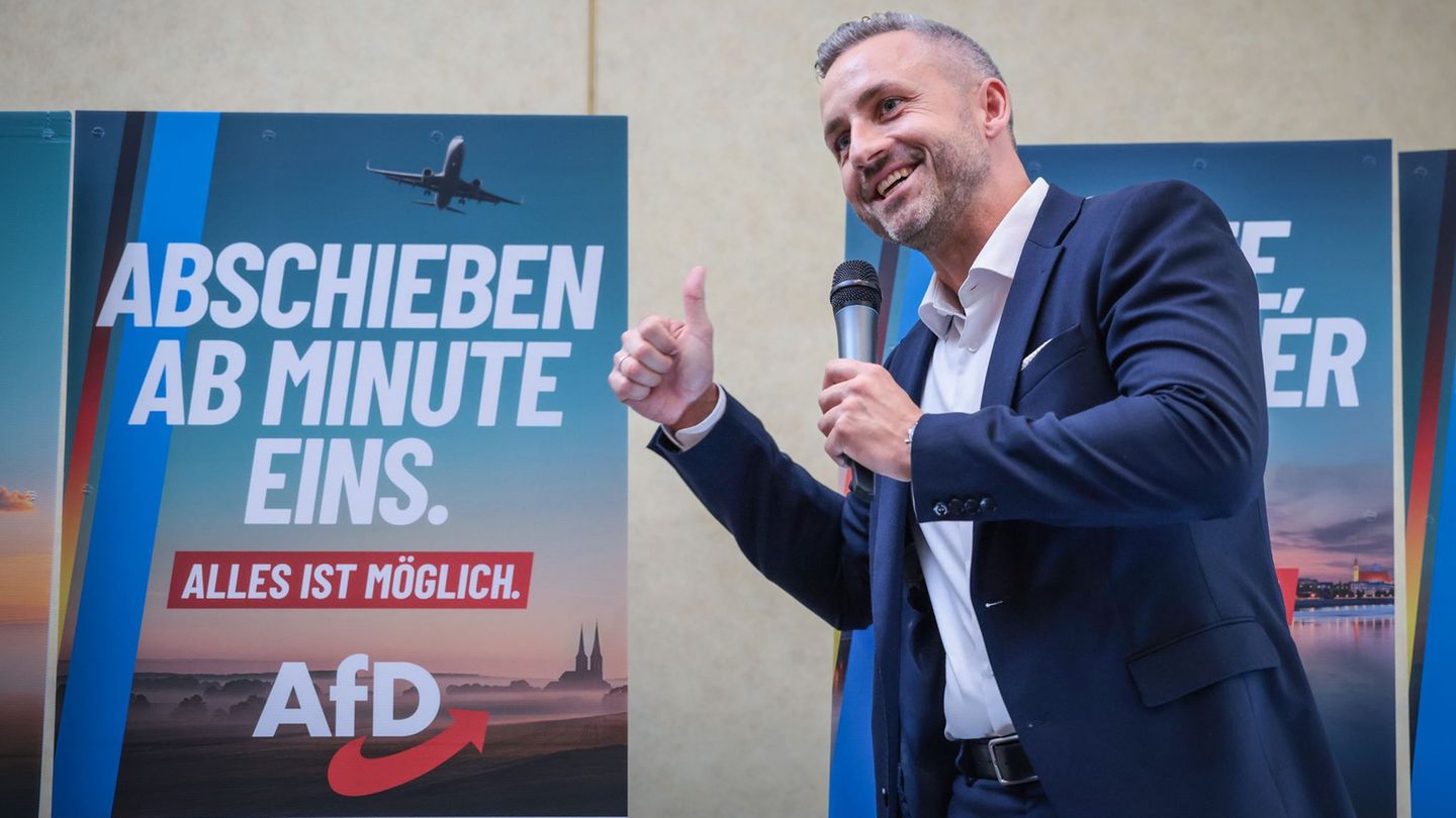 Landtagswahl 2026: Wissenschaftler warnen vor Folgen eines AfD-Wahlsiegs