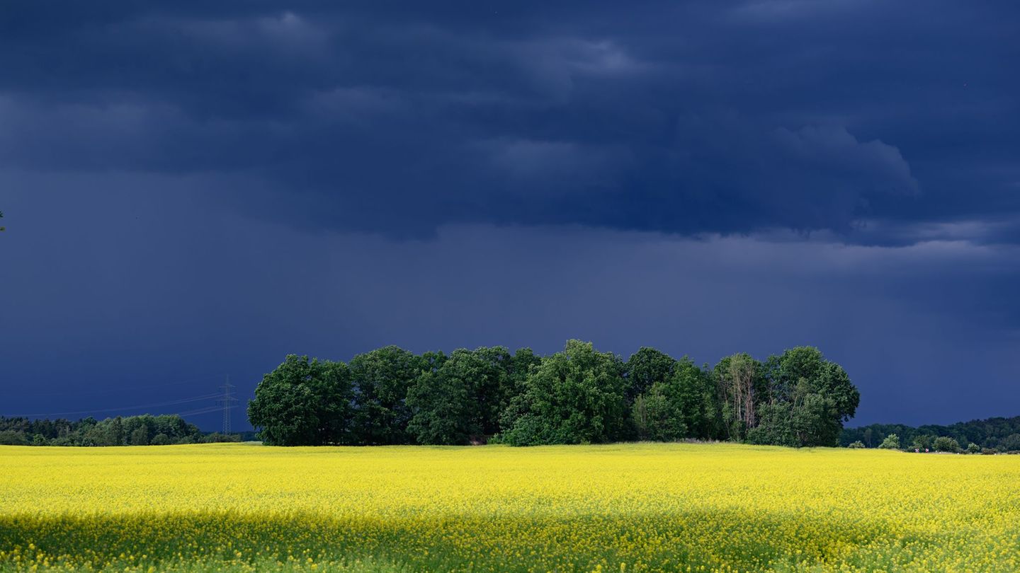 In Sachsen werden zum Wochenende Gewitter und Schauer erwartet. (Archivbild) Foto: Robert Michael/dpa