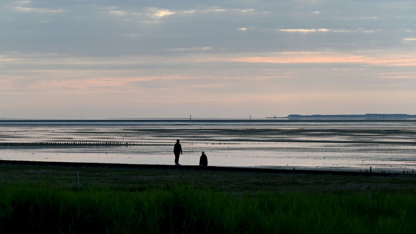 Wattenmeer bei Wangerland