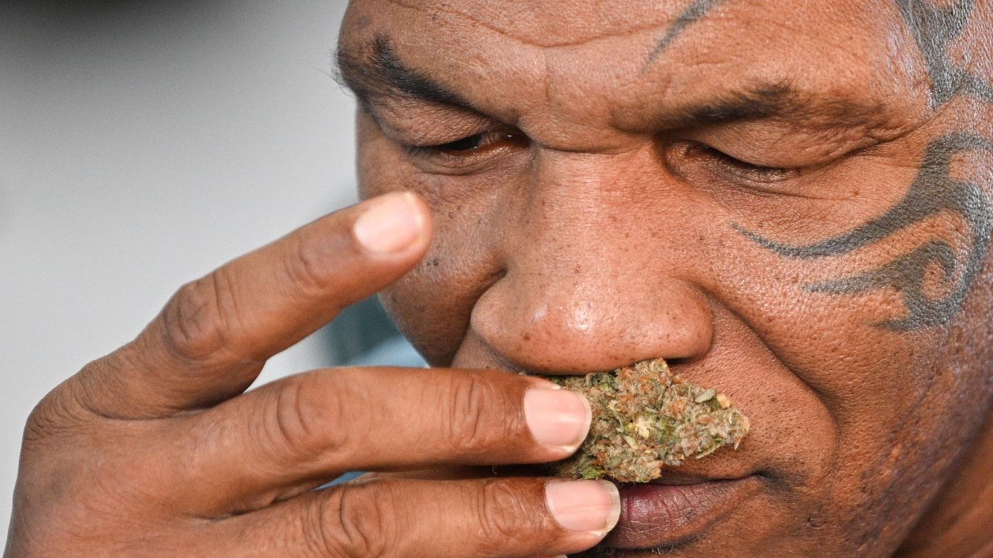 Mike Tyson & Co.: Diese Stars bauen ihr eigenes Cannabis an – und verkaufen es auch