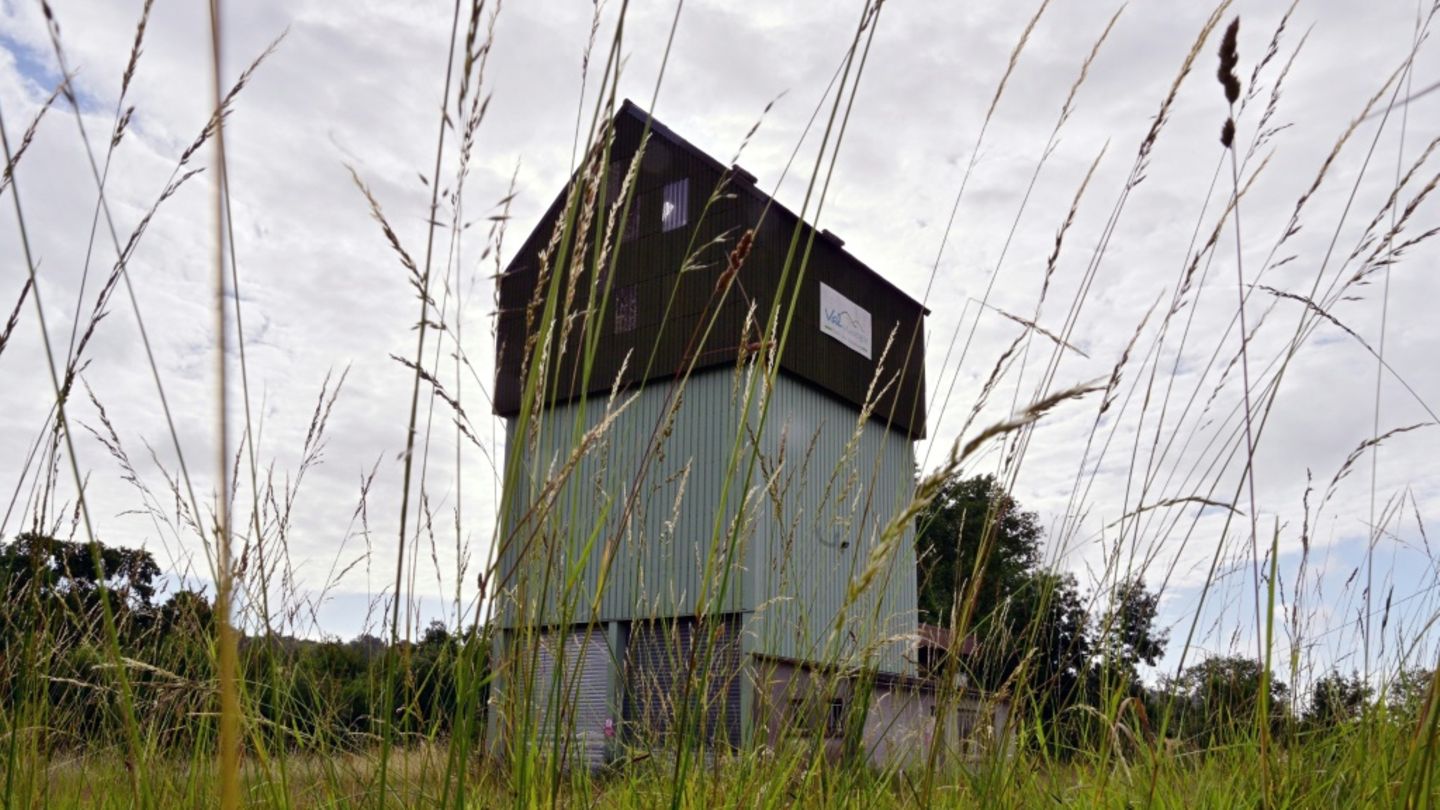 Fundort der Mädchenleiche