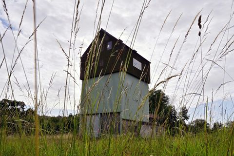 Fundort der Mädchenleiche
