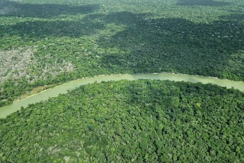 Die Dresdner Philharmonie hat für eine musikalische Hommage an den Regenwald im Amazonas-Gebiet viel Beifall bekommen. (Archvbil
