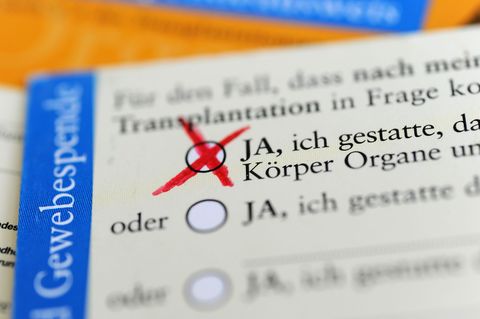 Der Organspendeausweis zeigt, dass ein Mensch spenden möchte. (Symbolbild) Foto: Marie Reichenbach/dpa