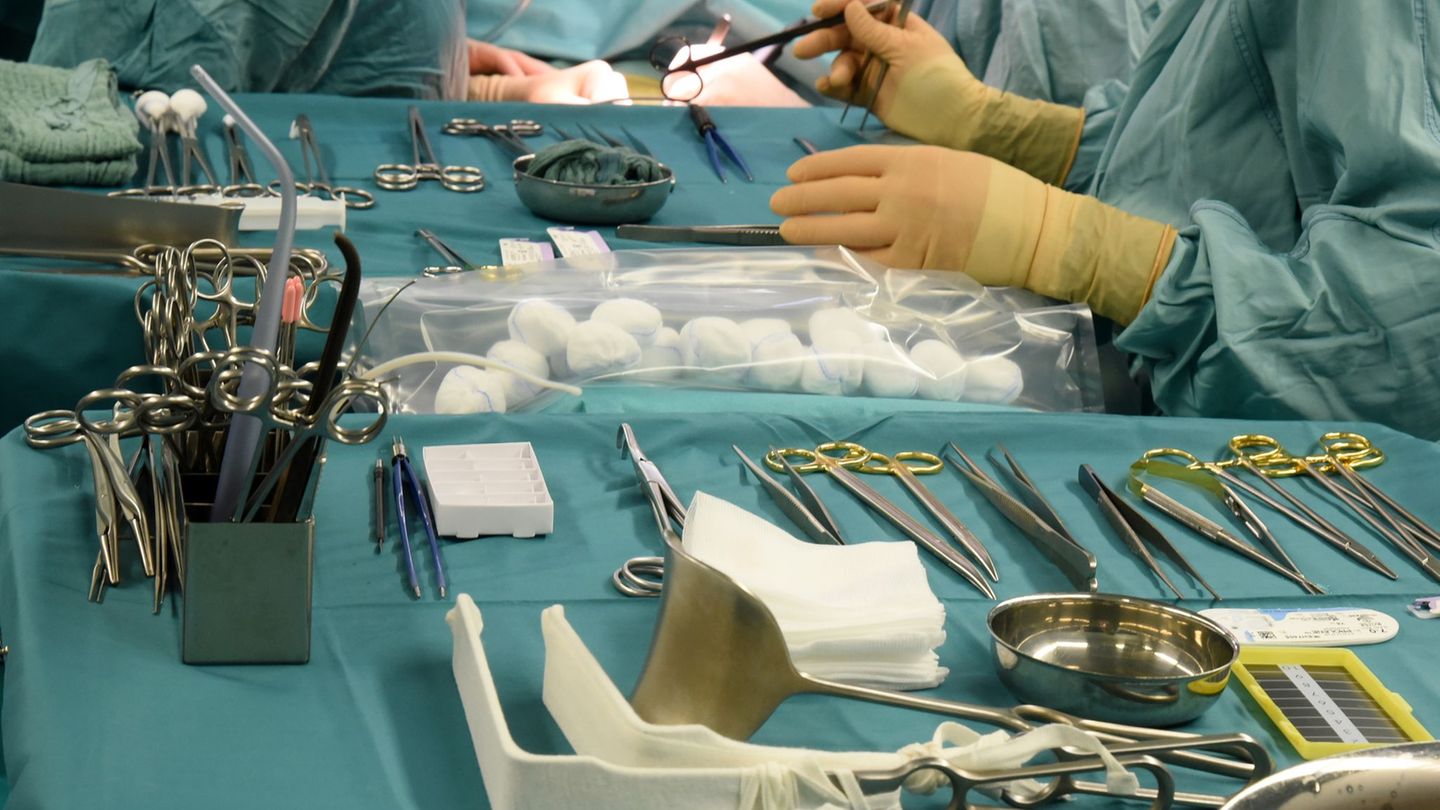 Medizin: Zahl der Organspenden in Schleswig-Holstein gestiegen