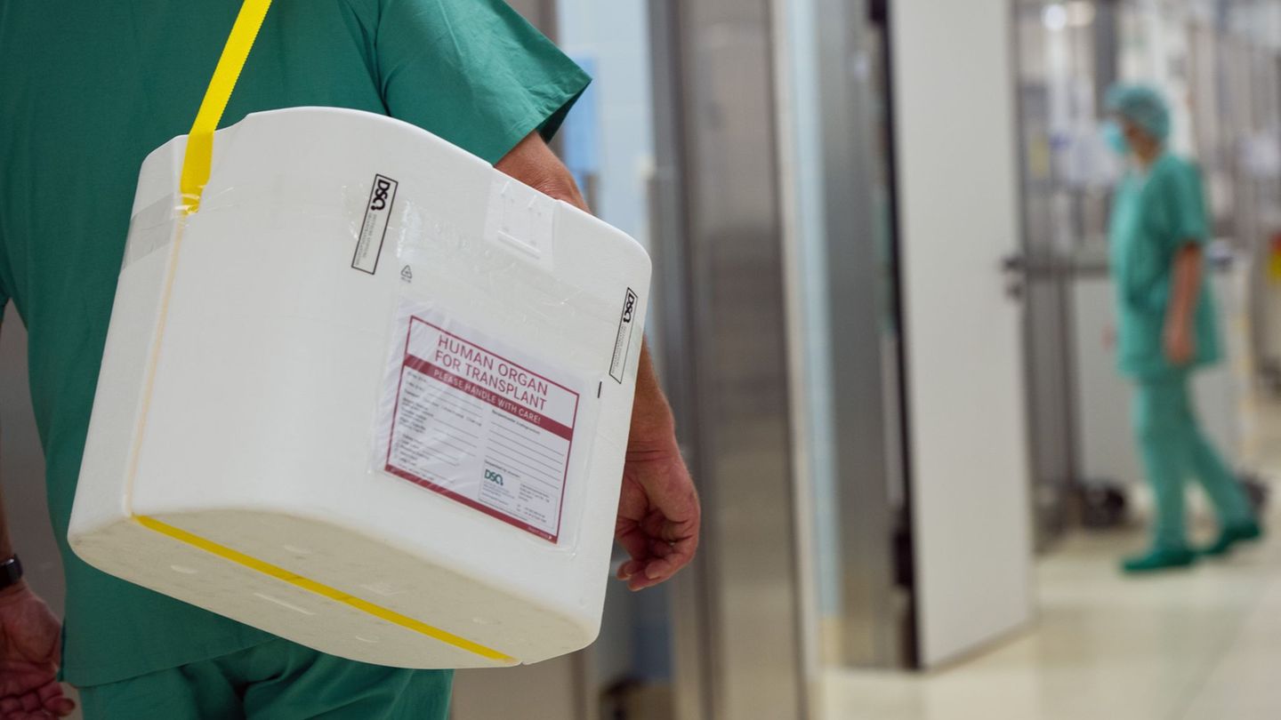 Medizin: 209 Menschen im Nordosten warten auf ein Spenderorgan