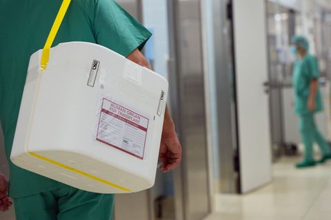 In Transportbehältern werden Spenderorgane in Kliniken angeliefert. (Symbolbild) Foto: Soeren Stache/dpa