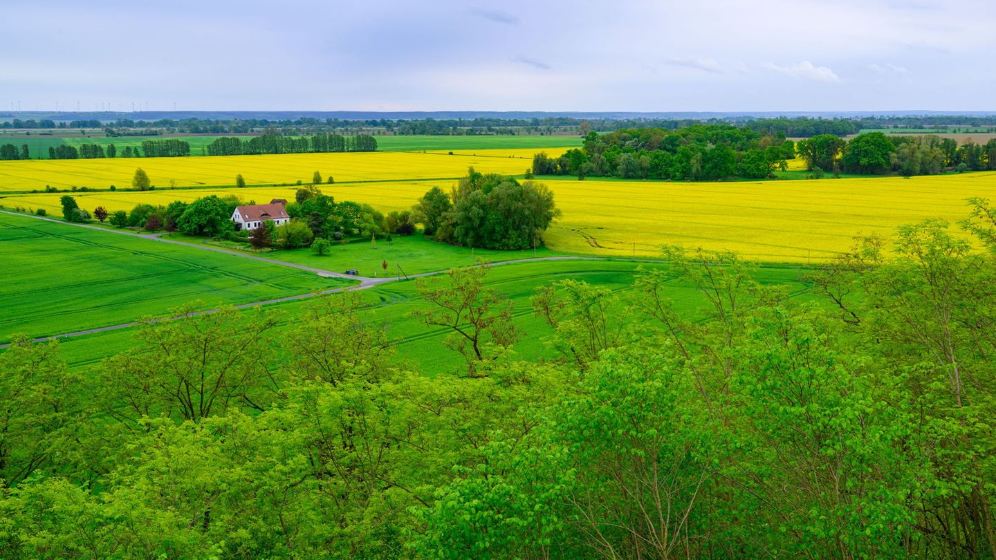 Wetter: Wolken und Sonne, vereinzelt Schauer
