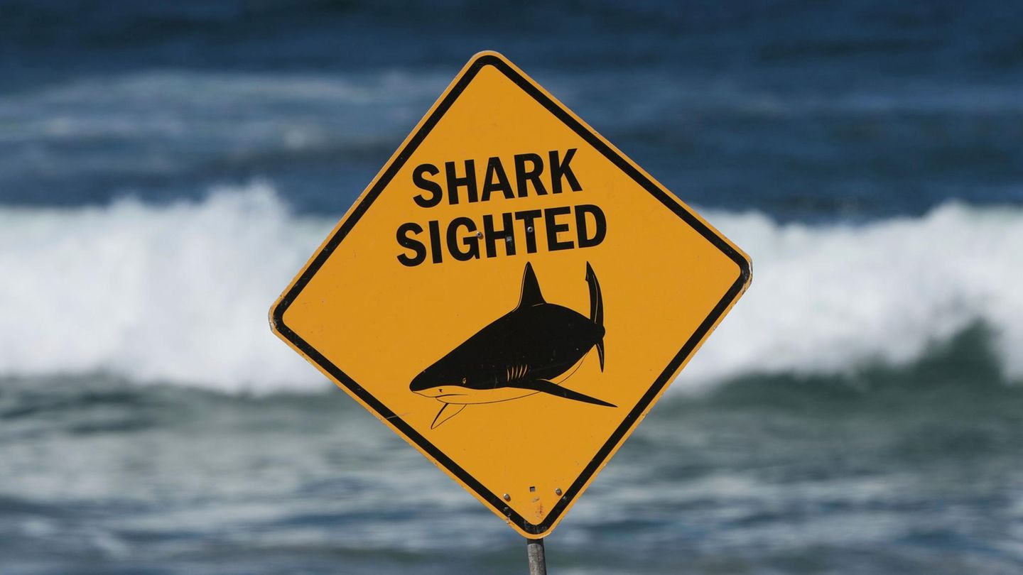Ein Schild mit der Aufschrift „Hai gesichtet“ in Australien