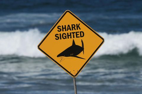 Ein Schild mit der Aufschrift „Hai gesichtet“ in Australien