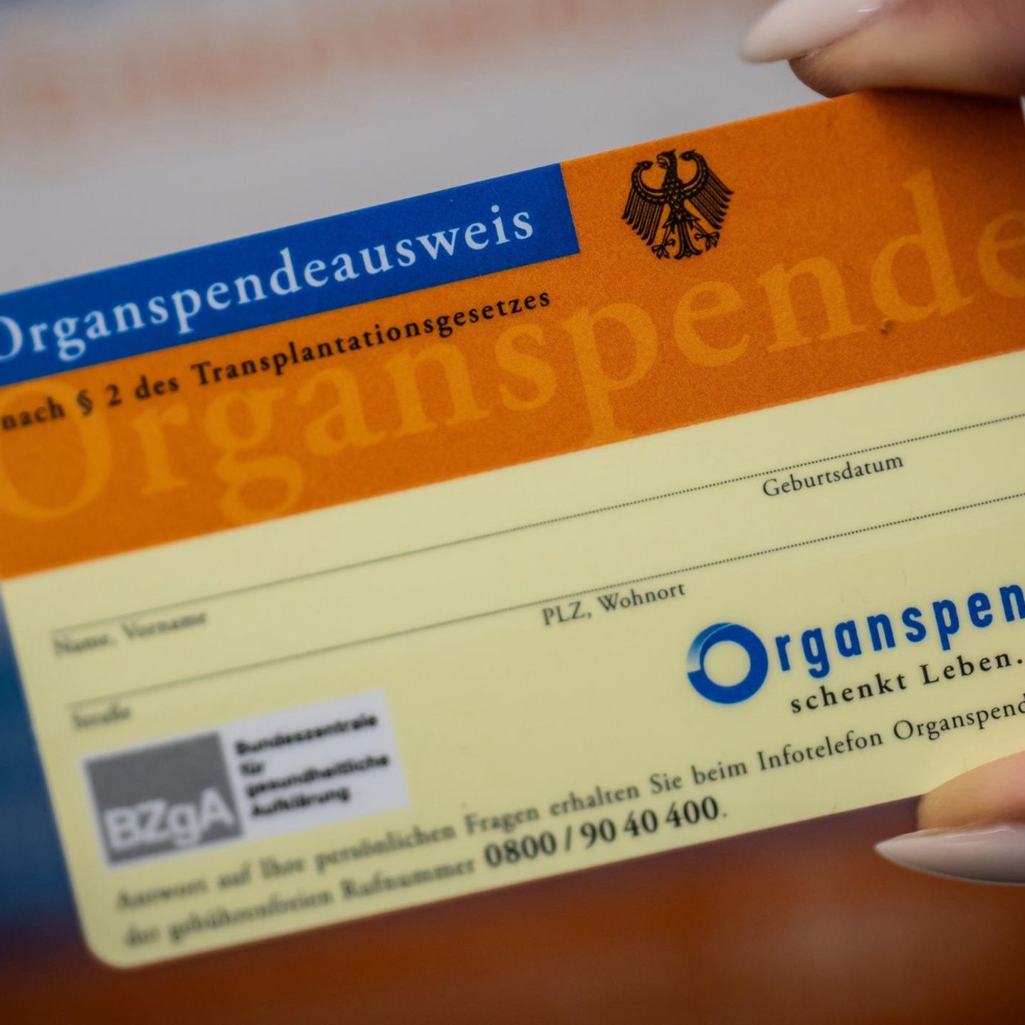Hand hält Organspender-Ausweis