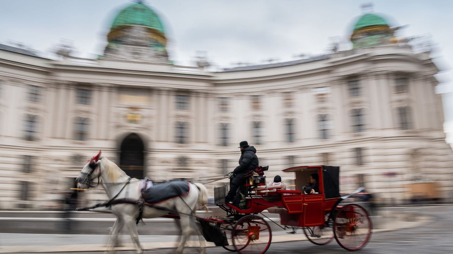 Fiaker sind eine beliebte Touristenattraktion in Wien (Symbolbild) Foto: Robert Michael/dpa-Zentralbild/dpa