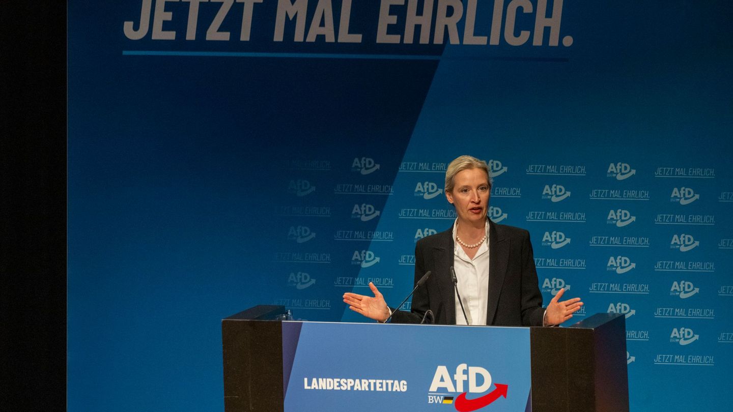 Die Bundesvorsitzende Weidel schaute bei ihrem Landesverband vorbei. Foto: Stefan Puchner/dpa