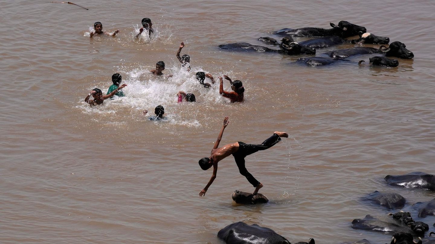 Jammu, Indien. Kinder erfrischen sich an einem heißen Sommertag im Fluss Tawi neben einer Büffelherde. Eines der Kinder nutzt den Kopf eines der Tiere sogar als Sprungturm.