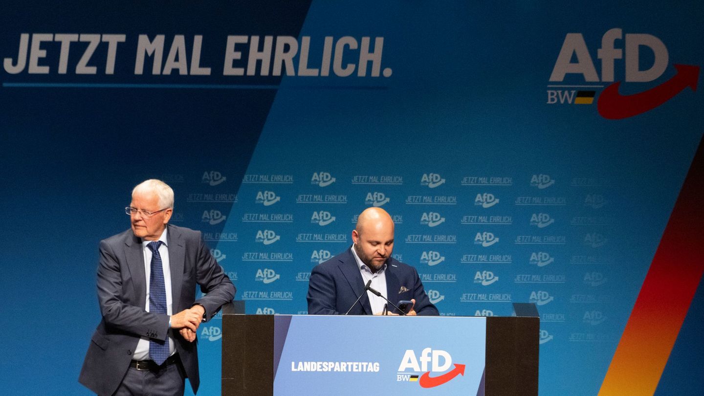 Frohnmaier und Sänze konnten den Landesverband befrieden. Foto: Stefan Puchner/dpa