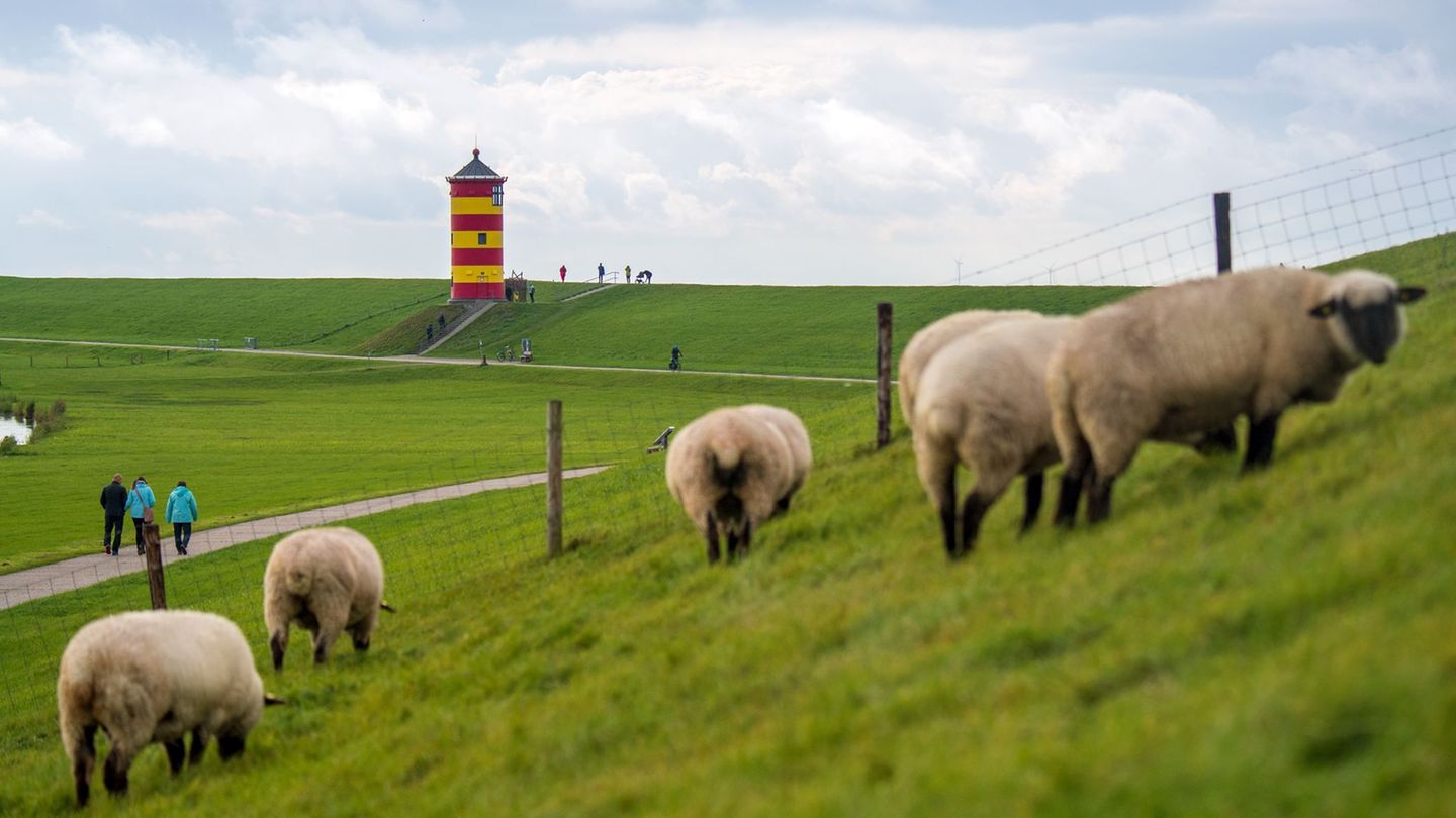 Neue Kampagne kommt: Deiche statt Wirtschaft? Kritik am Niedersachsen-Marketing