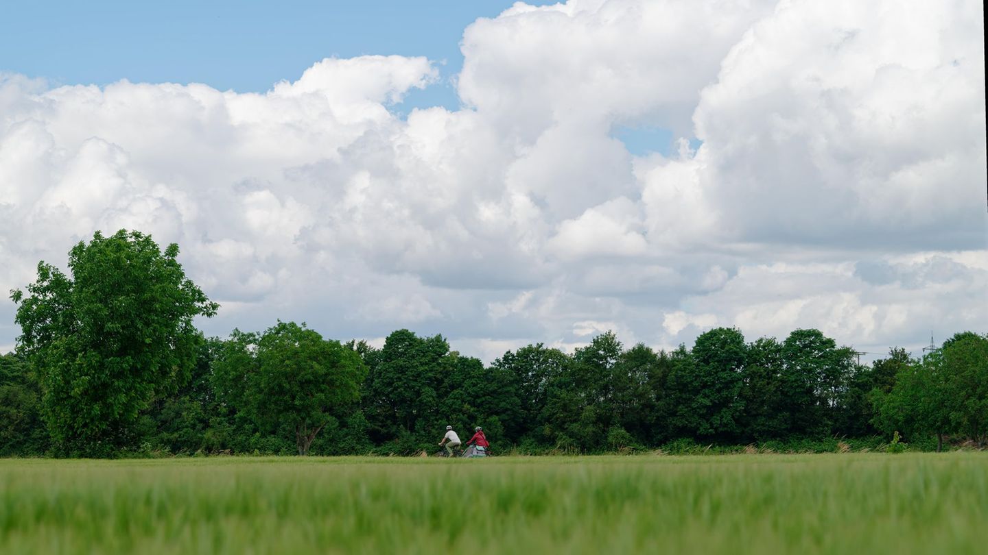 Wetter: Wann sich heute die Sonne blicken lässt
